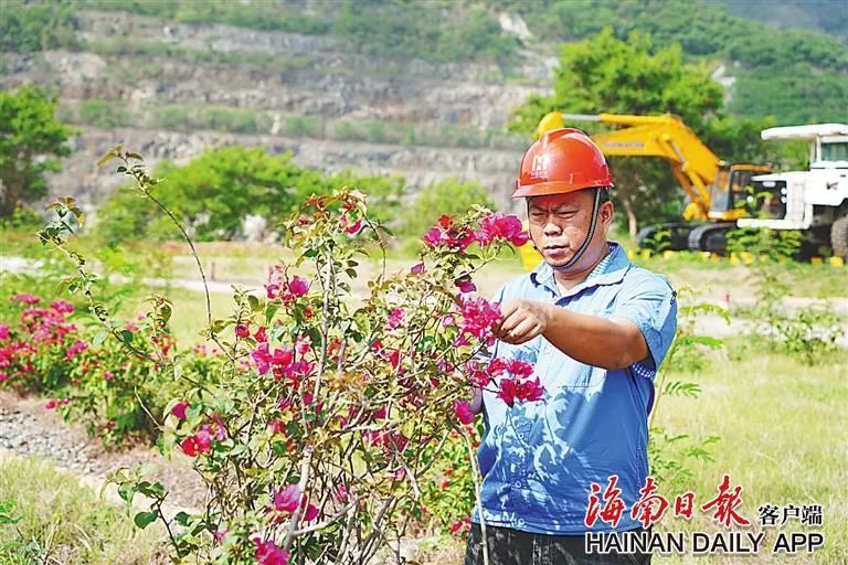 海南这座矿山，为何这么绿？4.jpg